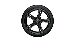 Wheel, 5-arm ramus, black, 8.5Jx20, 255/40 R20 101W XL winter tyre, left