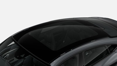 Panoramic fixed glass roof (heat-insulating glass, no sunshade)