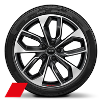 Audi Sport GmbH 19 吋 5 輻雙肋式鋒緣設計鑄造鋁合金輪圈，亮面煤黑烤漆，鑽石亮面導角，搭配 235/35 R19 輪胎