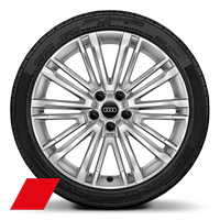 Audi Sport 10 輻式 V 形設計鑄造鋁合金輪圈，鑽石亮面導角，尺寸 8.5J x 19，特定車款輪胎