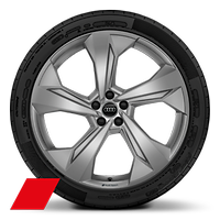 Audi Sport GmbH 22 吋 5 輻形設計鑄造鋁合金輪圈，霧面白金灰，搭配 285/35 R22 輪胎