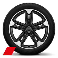 Audi Sport GmbH 18 吋 5 輻雙肋式梯形設計鑄造鋁合金輪圈，黑色塗裝，搭配 215/50 R18 輪胎