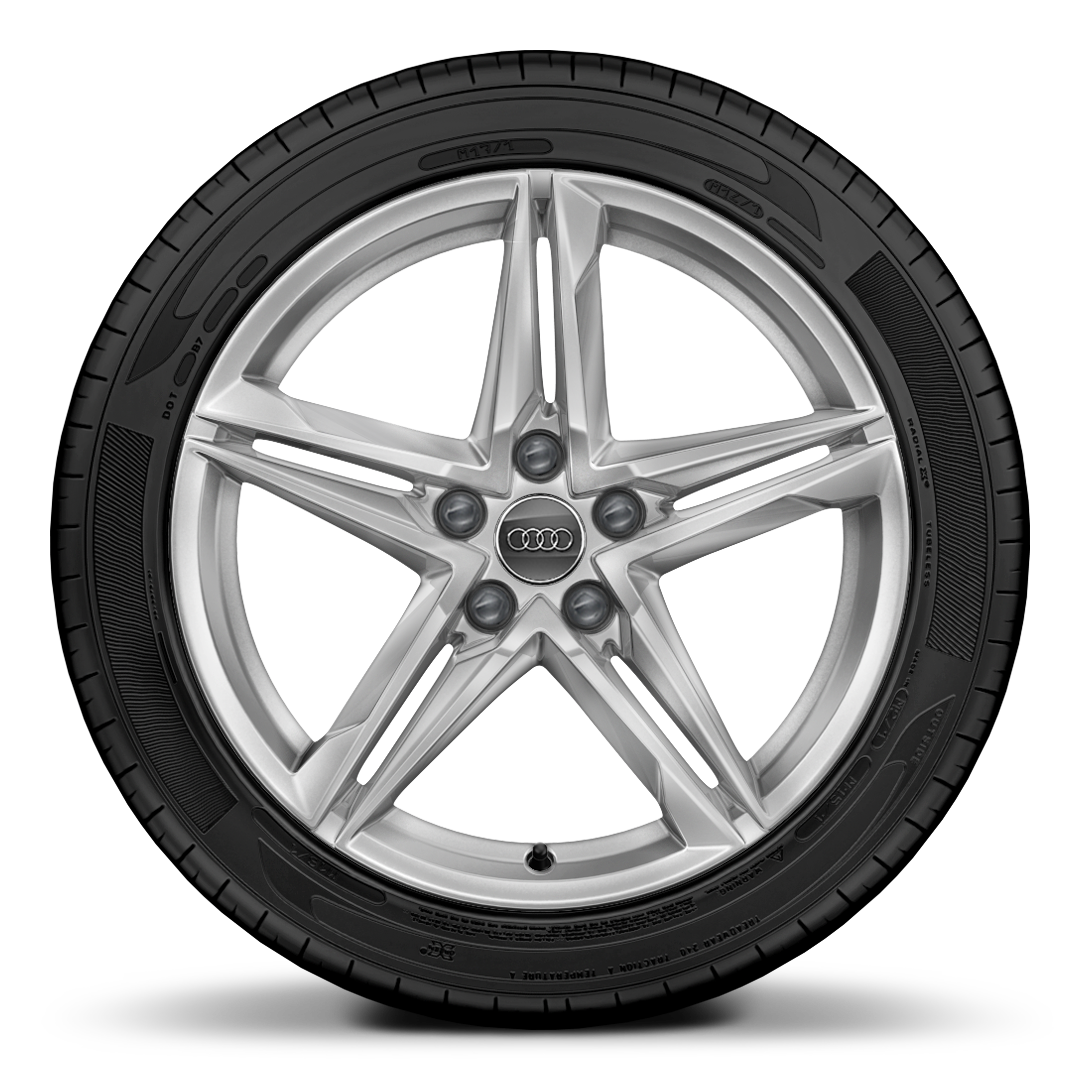18 吋 5 幅式雙肋星形設計鑄造輪圈，搭配245/40 R 18 輪胎