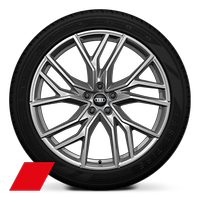 Velgen Audi Sport, 5-W-spaak-ster, platinagrijs, 8,5J|9,0Jx21, bandenmaat 235/45|255/40 R21