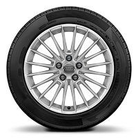 Jantes en alliage l&eacute;ger, &agrave; rayons multiples