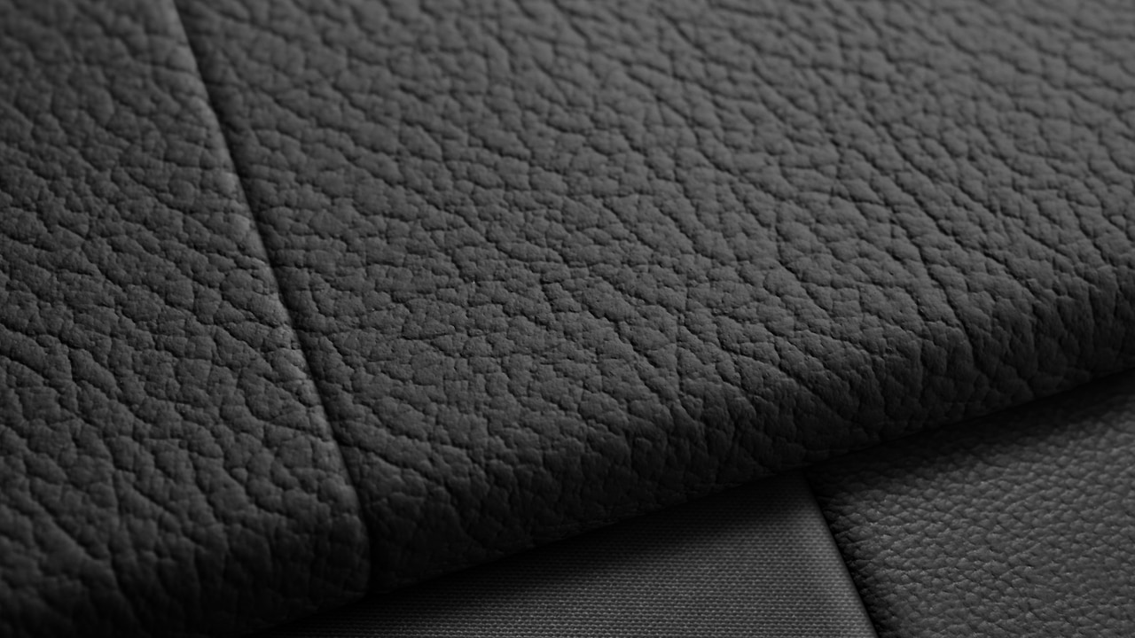 Vehicle interior color