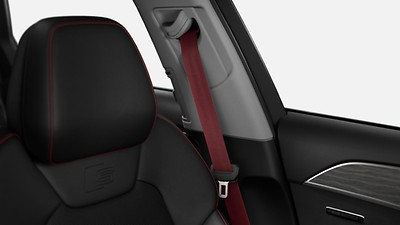 Pakiet stylistyczny w kolorze czarnym i karmazynowym Audi exclusive