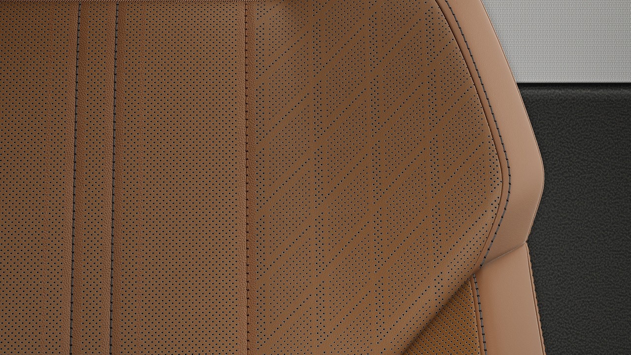 Vehicle interior color