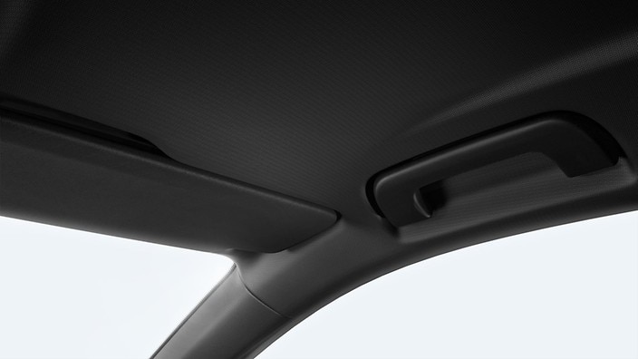 Black fabric Headliner
