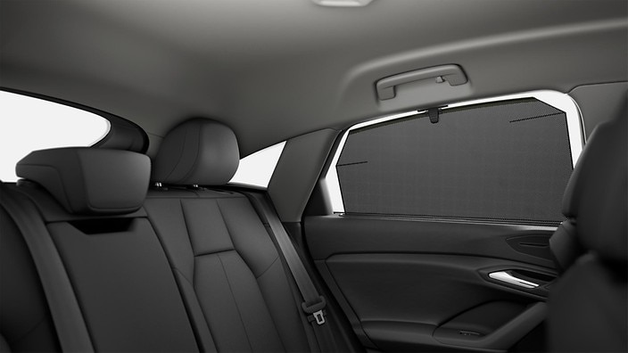 Manual blinds for rear door windows