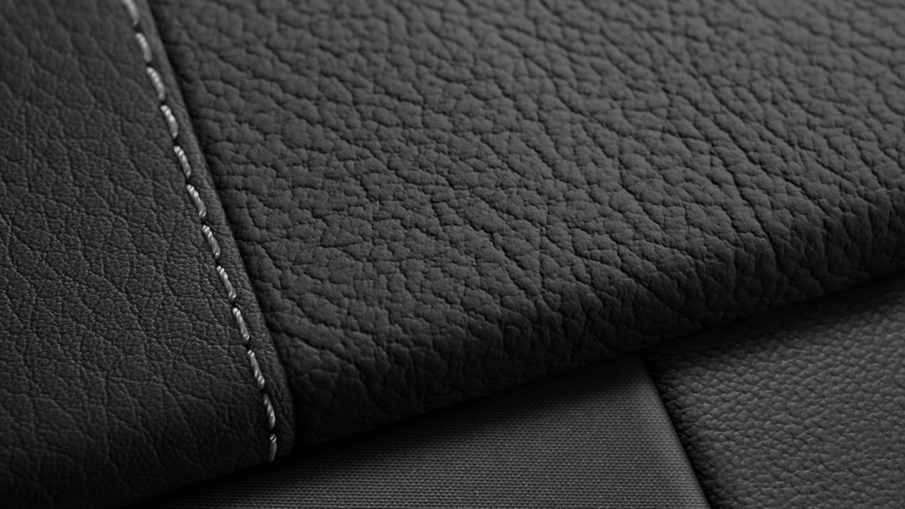 Vehicle interior color