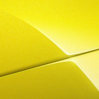Python Yellow metallic