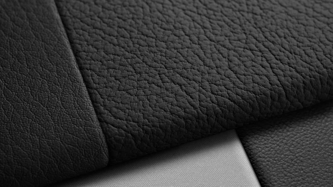 Vehicle interior color