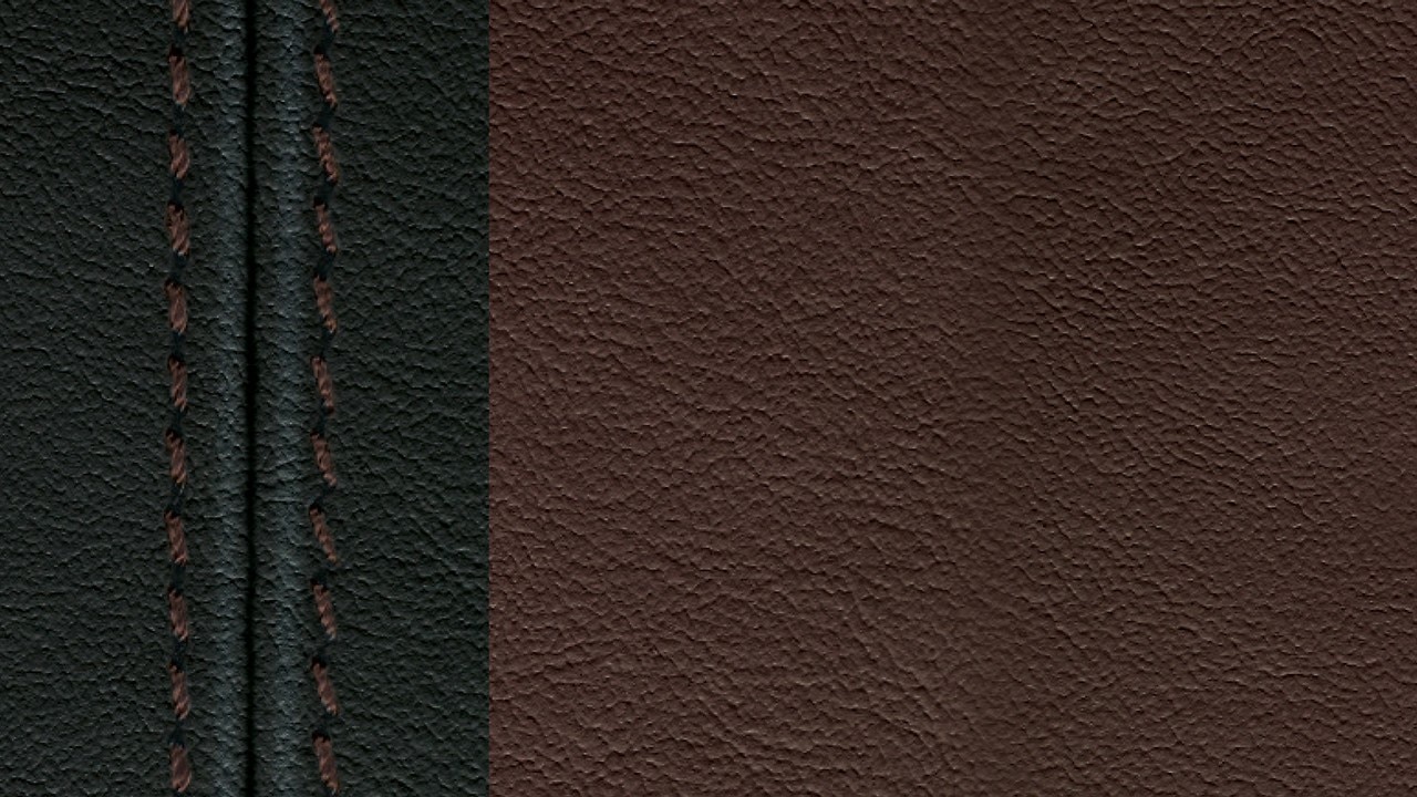 Vehicle interior color