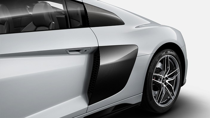 Sideblades in Carbon Fiber