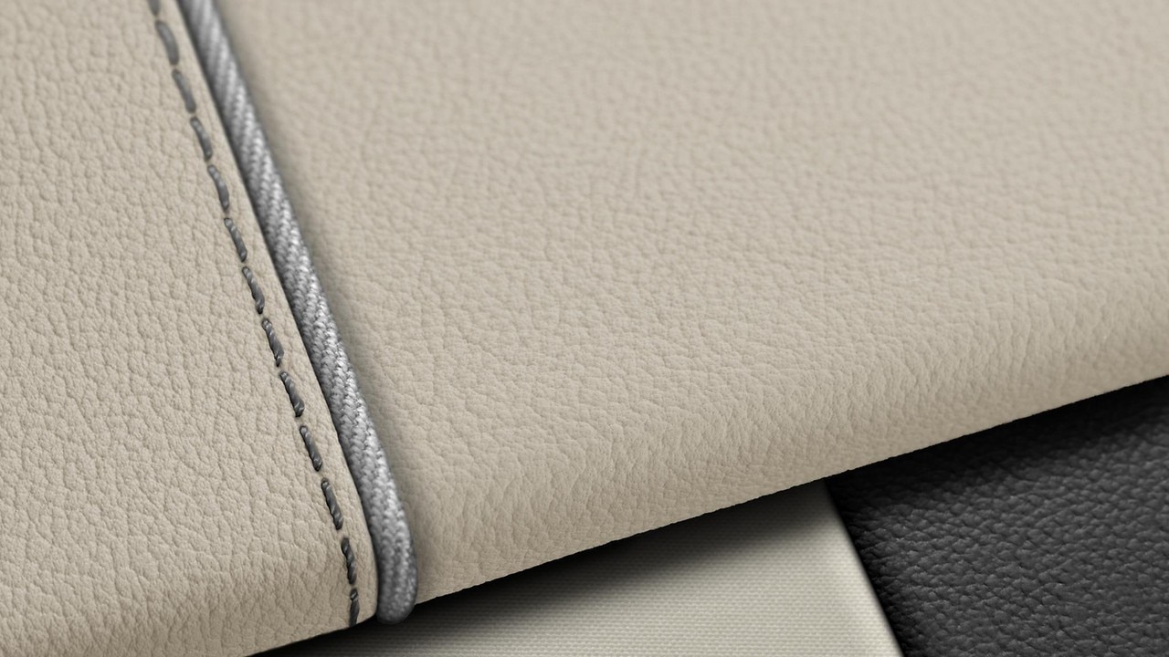 Vehicle interior color