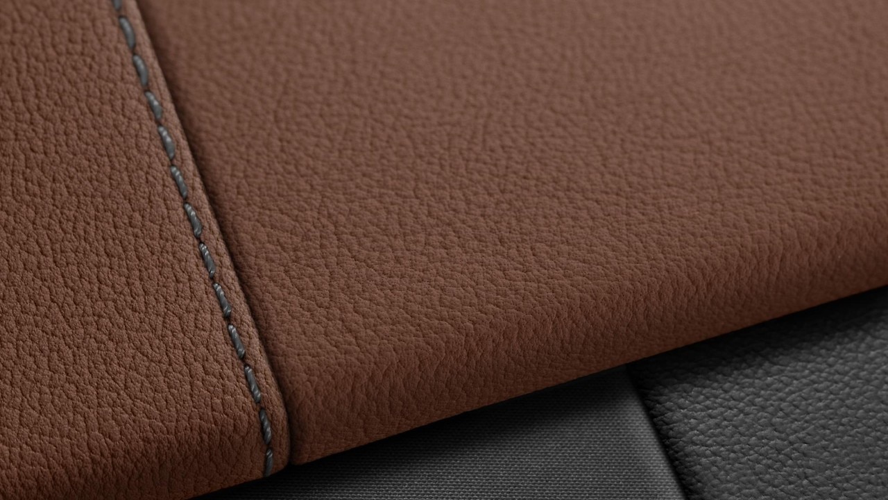 Vehicle interior color