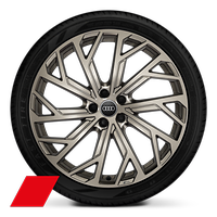 21" 10-Y-spoke evo design wheels, matte neodymium gold finish