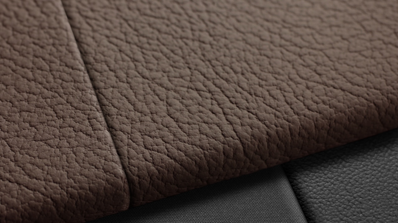 Vehicle interior color