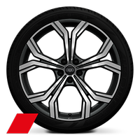Obręcze kół ze stopu metali lekkich  8,5Jx21&quot;  Audi Sport, 5 - ramienne, z podwójnymi ramionami, ciemnoszare matowe, polerowane, z oponami 255/35 R 21. 3-letnie ubezpieczenie opon w cenie.
