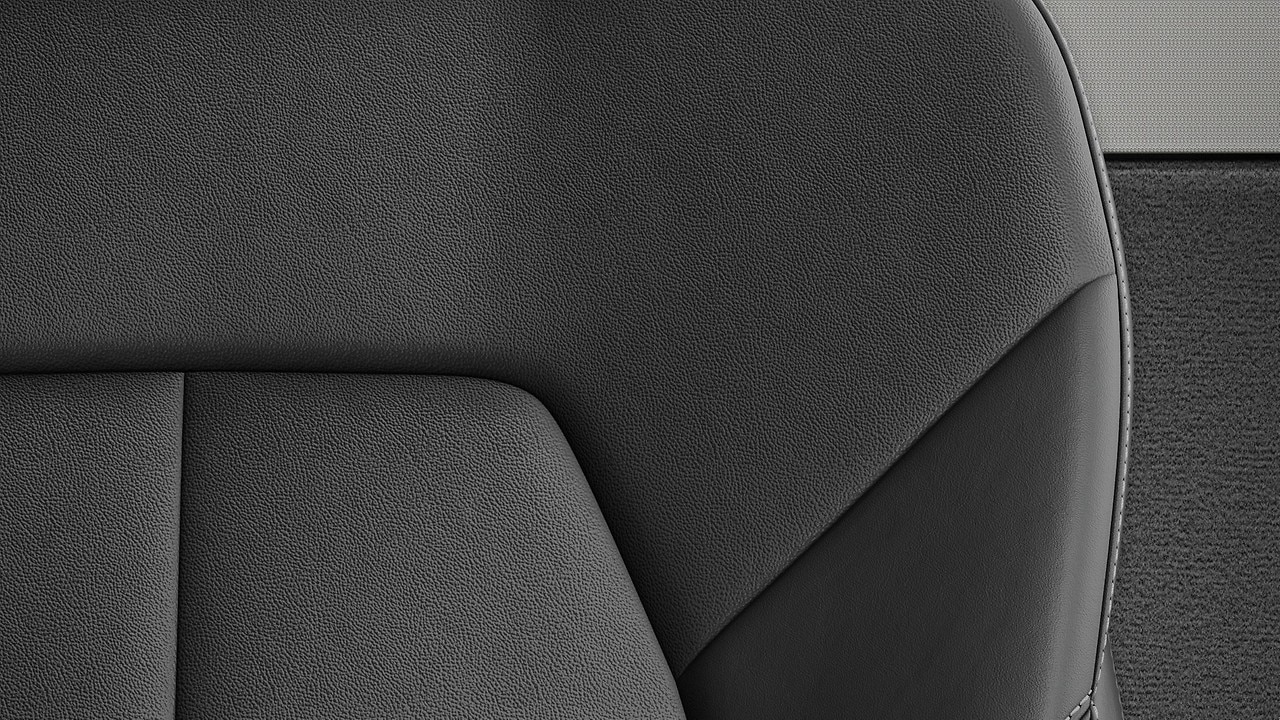 Vehicle interior color
