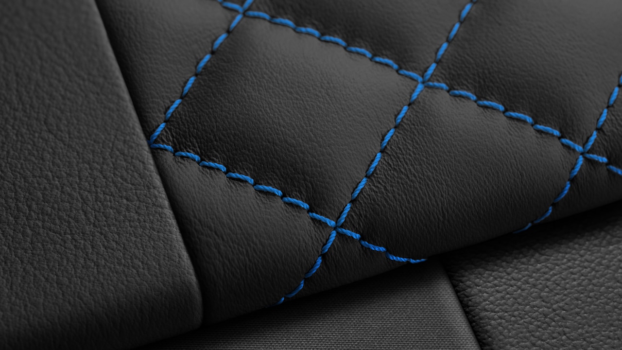 Vehicle interior color