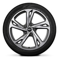 Jantes en alliage l&eacute;ger, style "Offset" &agrave; 5 branches doubles, Gris Platine, 9,0J|11,0J x 20, pneus 245/45|285/40 R20