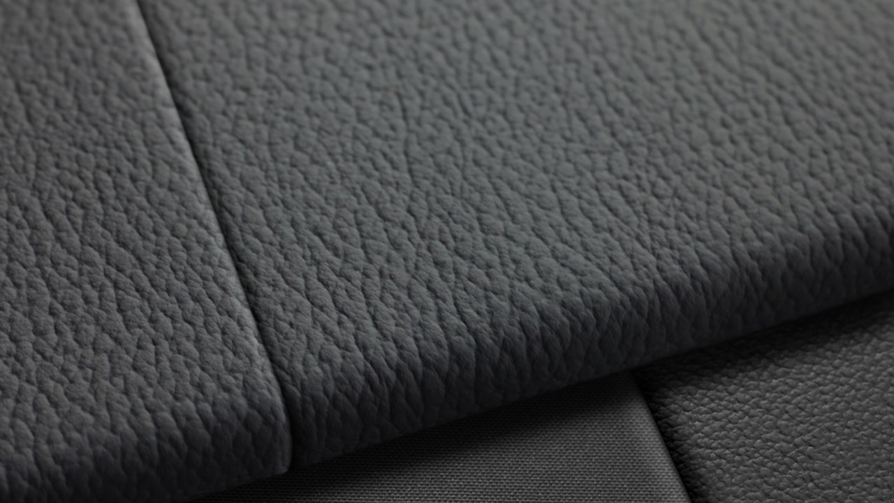 Vehicle interior color