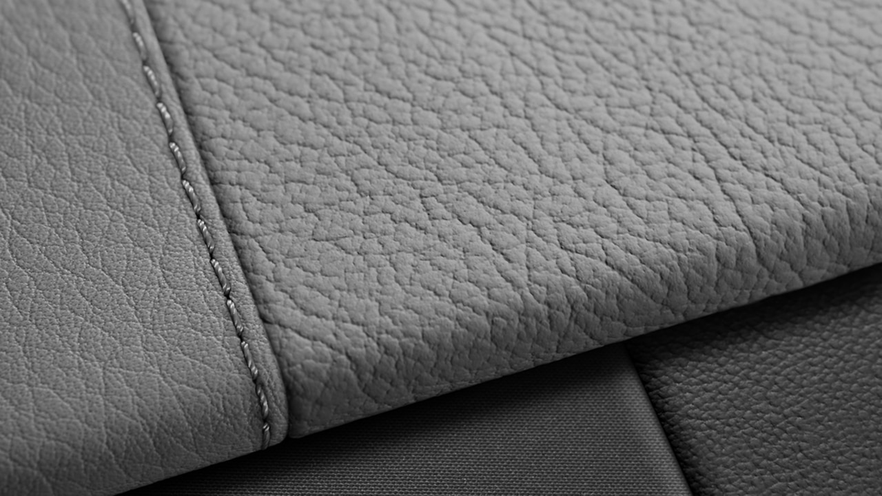 Vehicle interior color