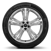 Wheels, 5-segment-spoke style, 10.0J x 21, 285/45 R21 tires