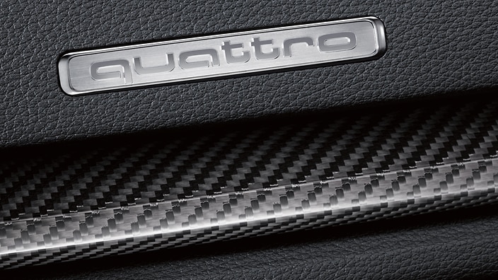 Audi Sport® Carbon Fiber inlays
