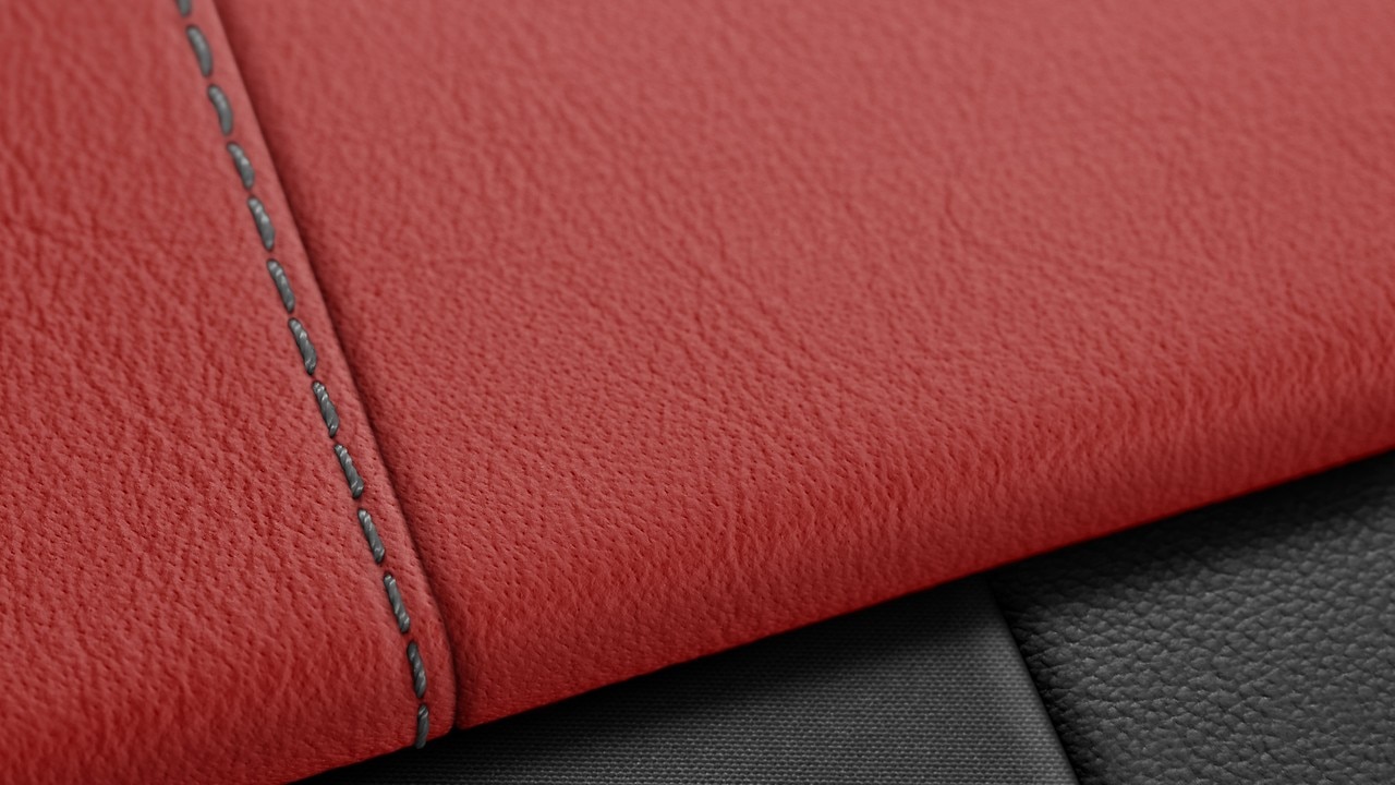 Vehicle interior color