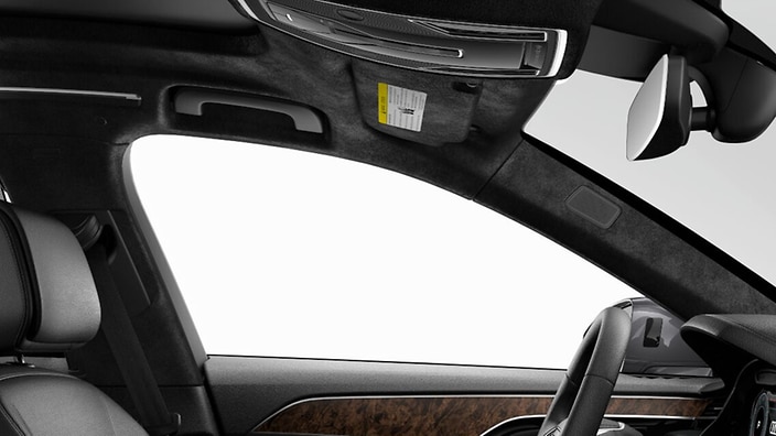 Black Alcantara® headliner