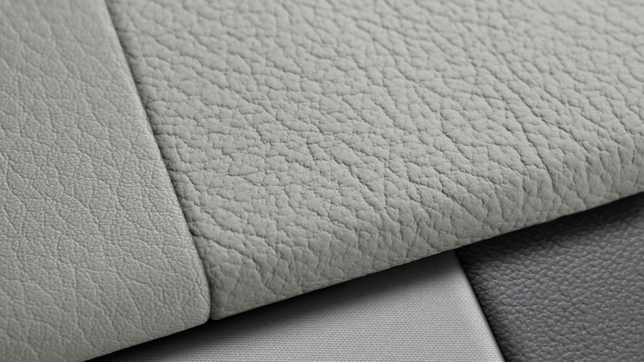 Vehicle interior color