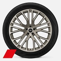 22" 10-Y-spoke design wheels, matte neodymium gold finish
