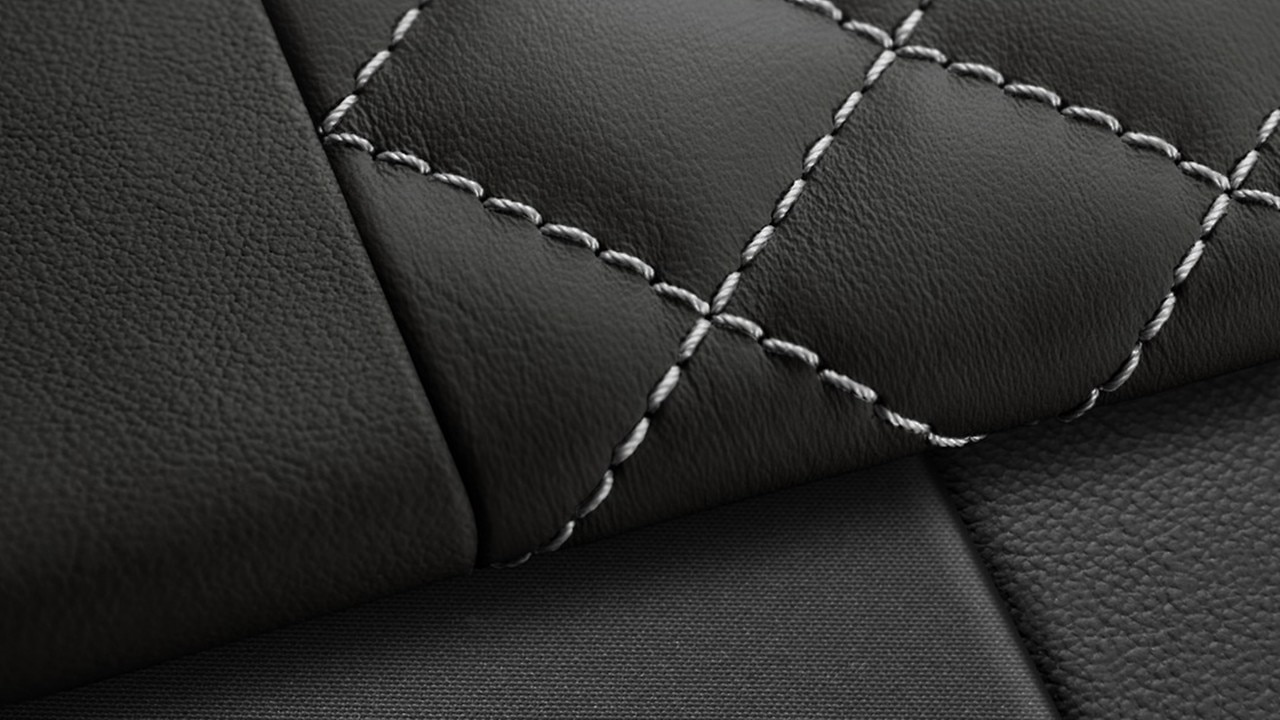 Vehicle interior color