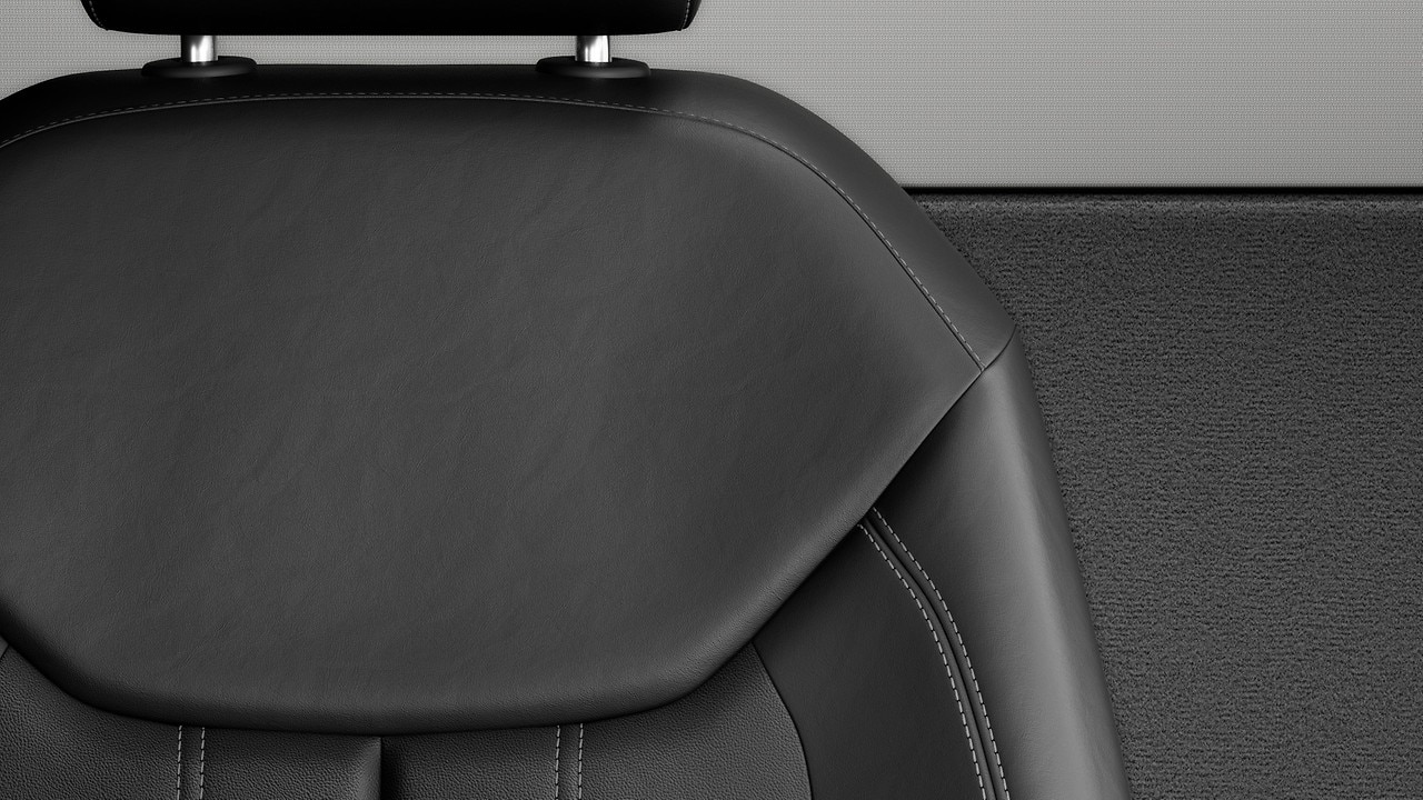 Vehicle interior color