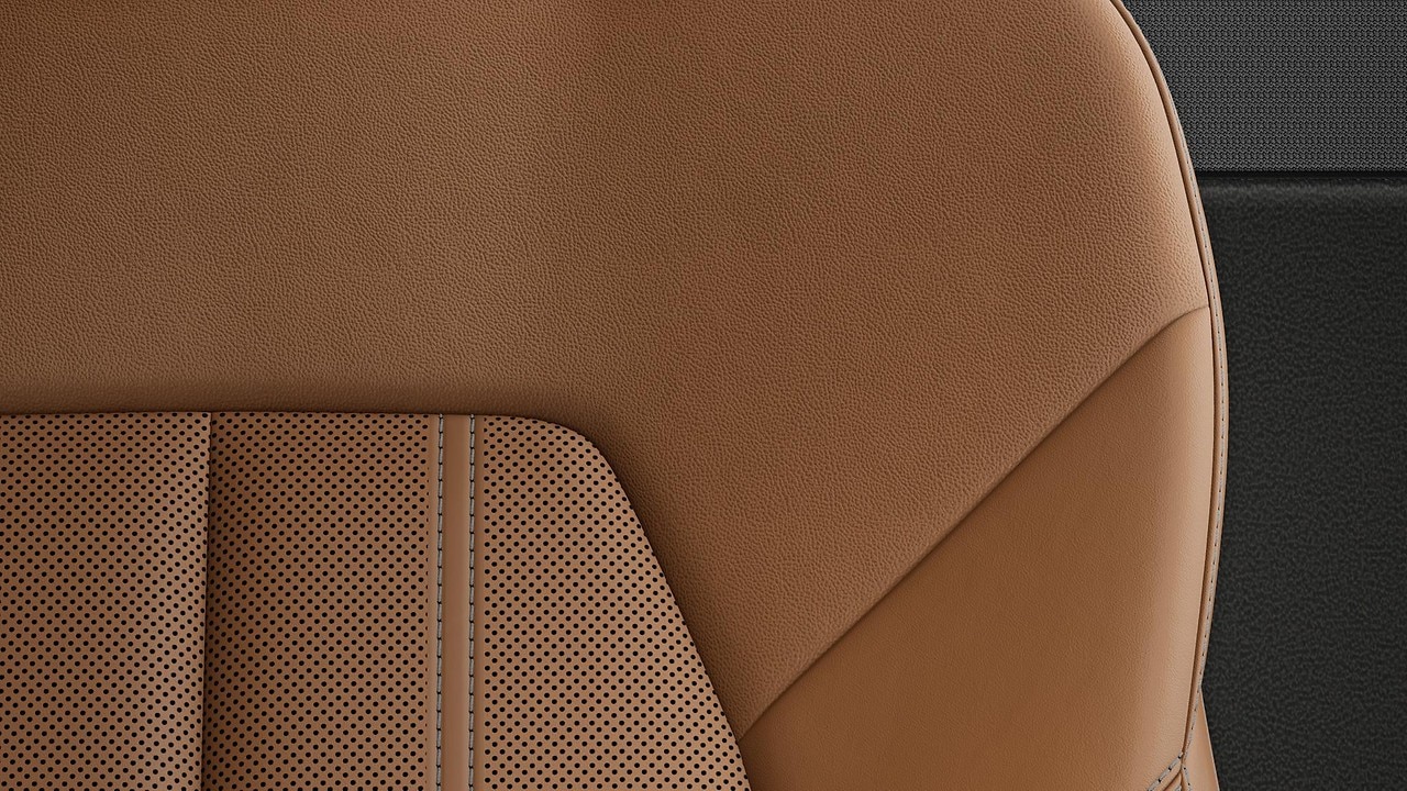 Vehicle interior color