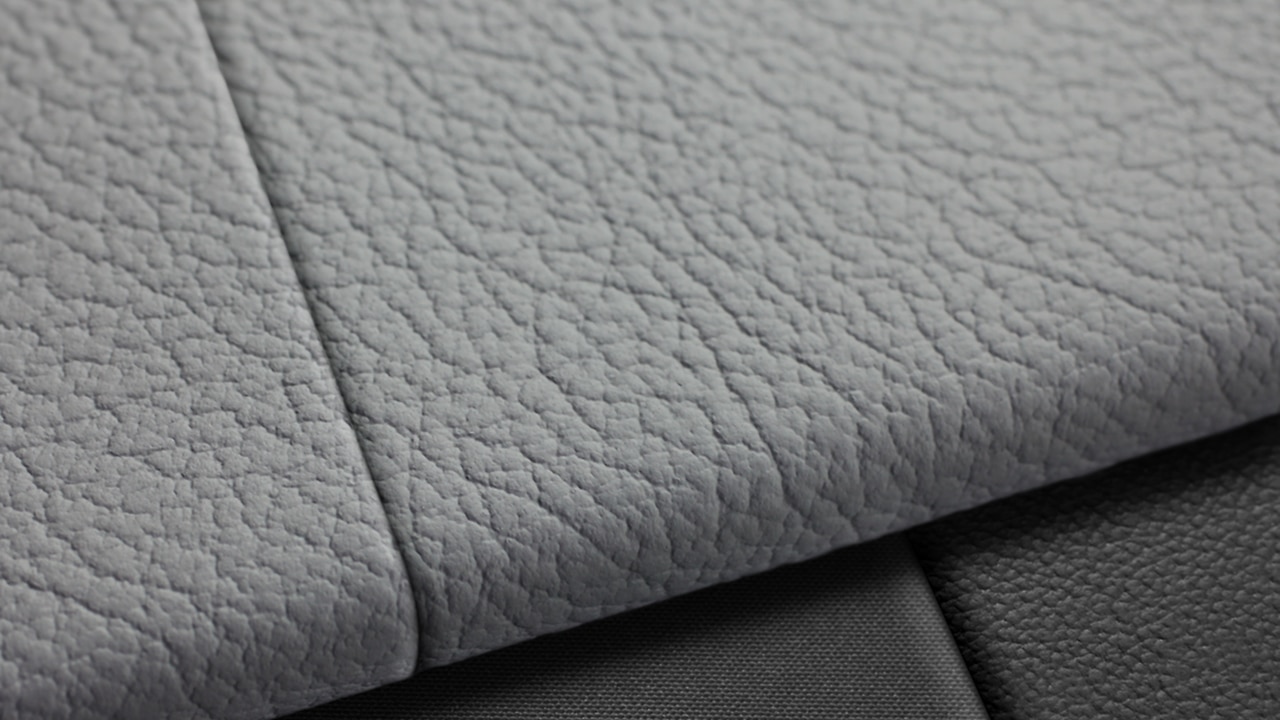 Vehicle interior color
