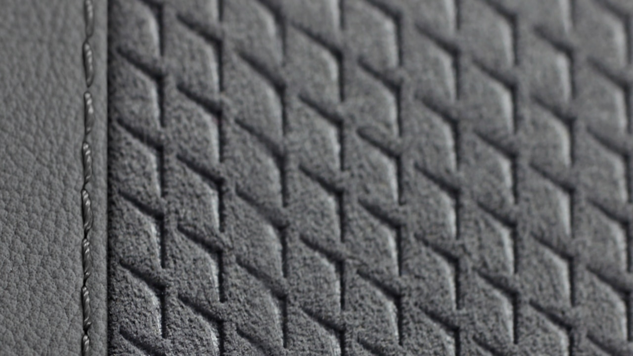 Vehicle interior color
