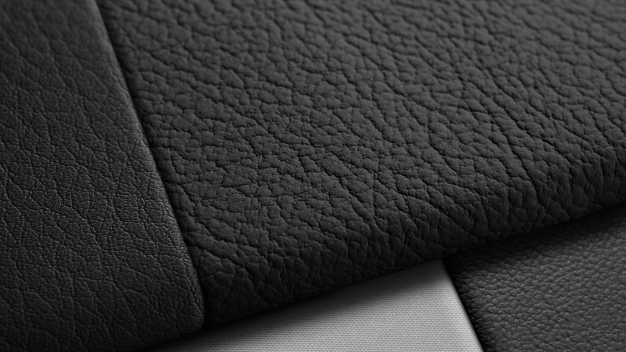 Vehicle interior color