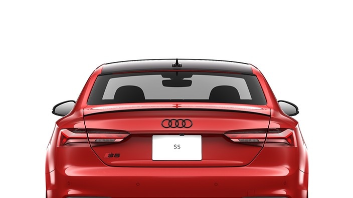 Black roof