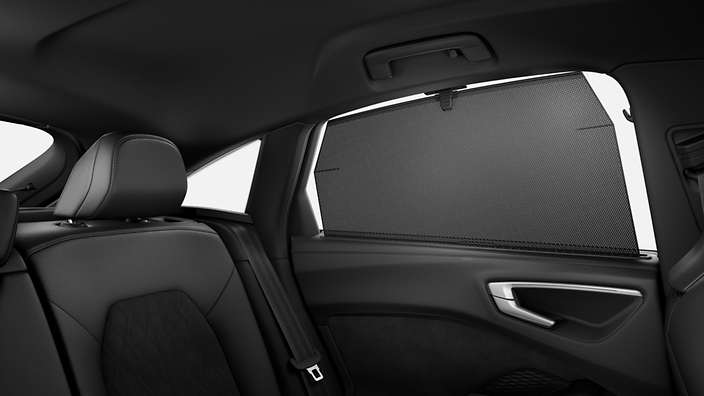 Manual blinds for rear door windows