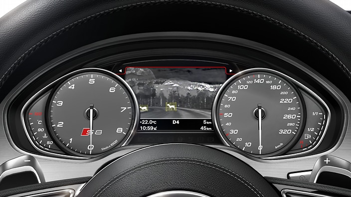 Night vision assistant with pedestrian and large-animal detection