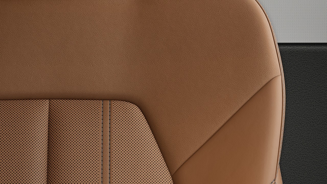 Vehicle interior color