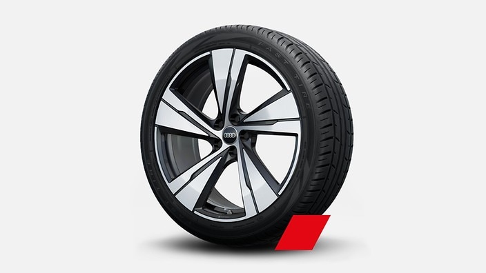 21" 5-arm-split design wheels, bicolor finish