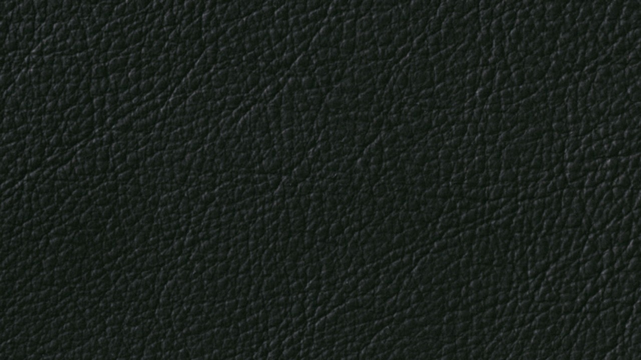Vehicle interior color