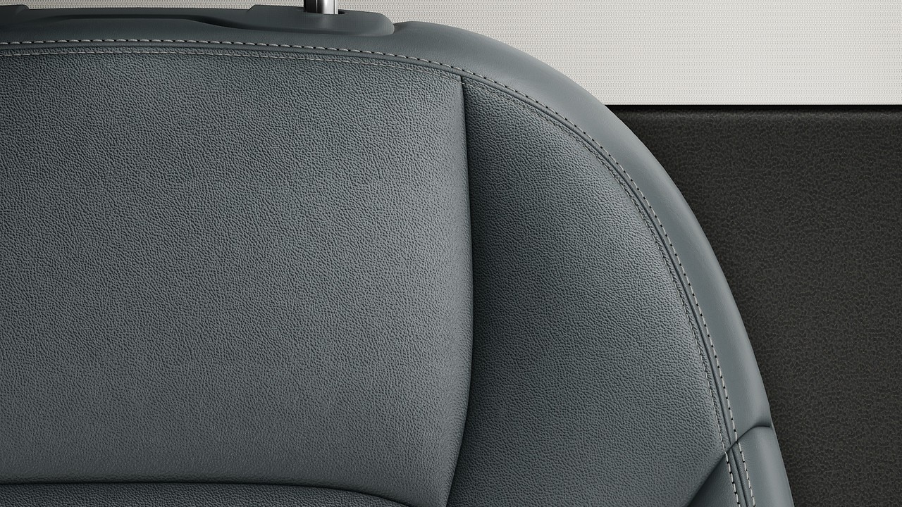 Vehicle interior color