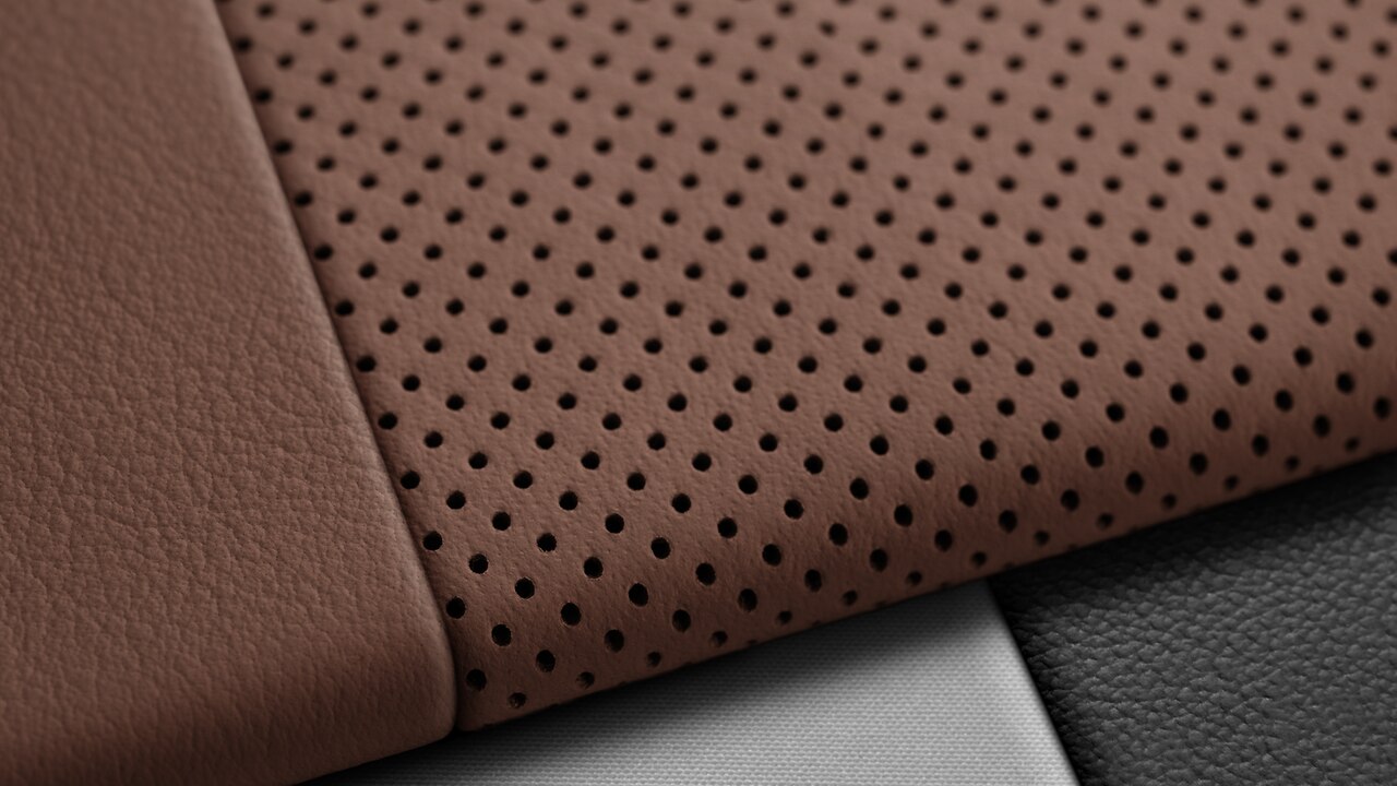 Vehicle interior color