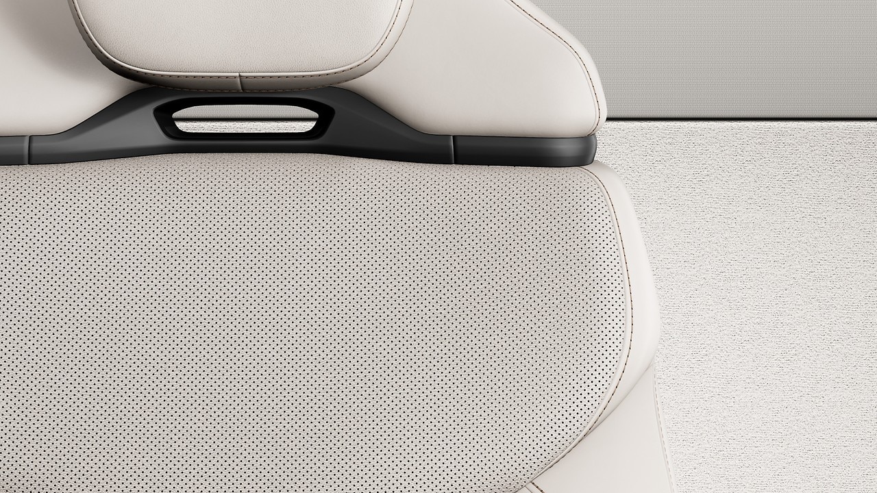 Vehicle interior color